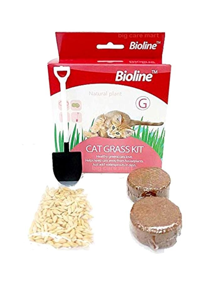 بايولاين مجموعة بذور أعشاب للقطط أخضر / بيج