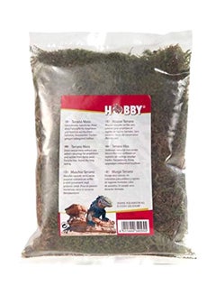 Hobby Terrarium Decoration Natural Moss Green/Grey 