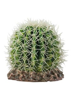 Hobby Cactus Sonora Terrarium Decoration Green/Brown/White M 