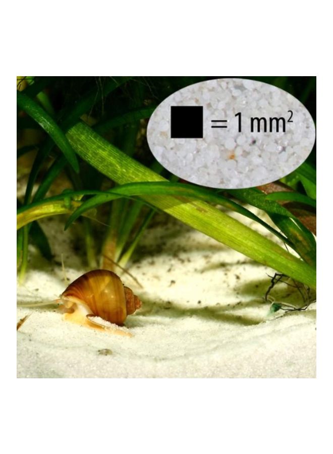 JBL Sansibar Natural Substrate For Freshwater And Saltwater Aquariums White 5kg - Image 2