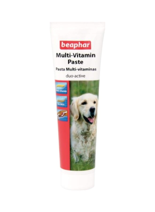 beaphar - Multi Vitamin Paste Multicolour 100grams - Image 1