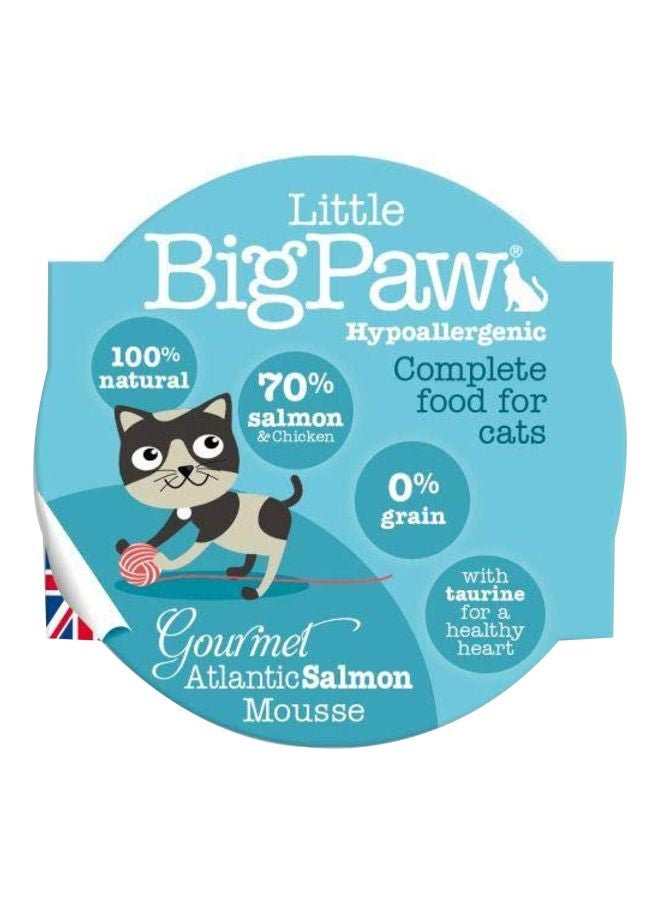 Little Big Paw - Wet Food Gourmet Salmon Mousse Flavour 85grams - Image 1