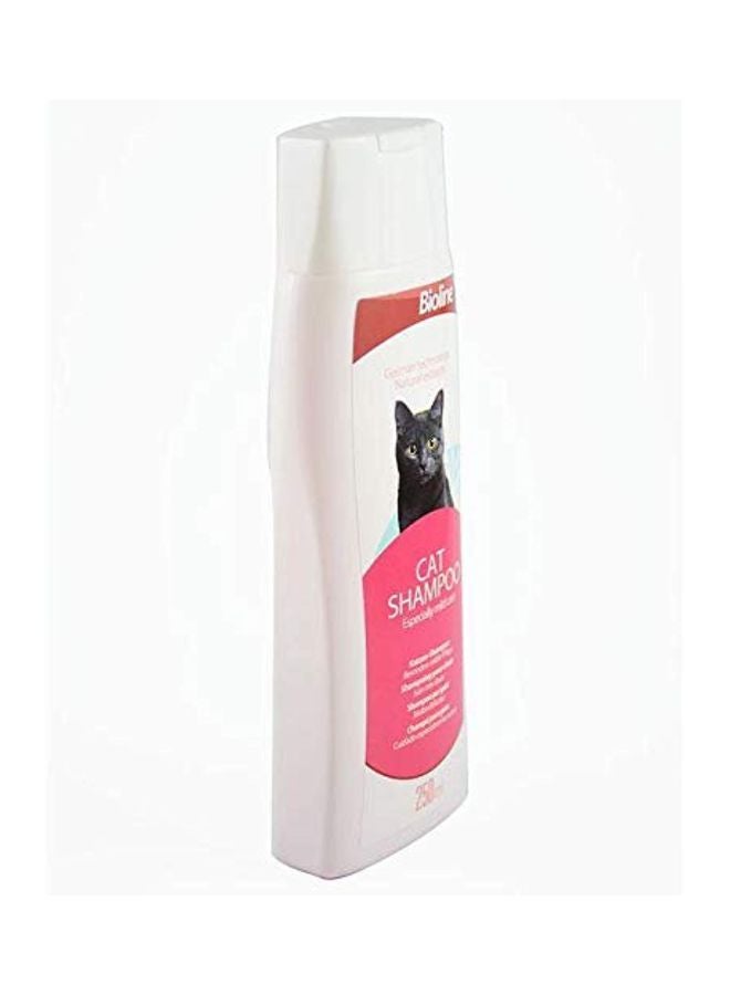 Cat Shampoo