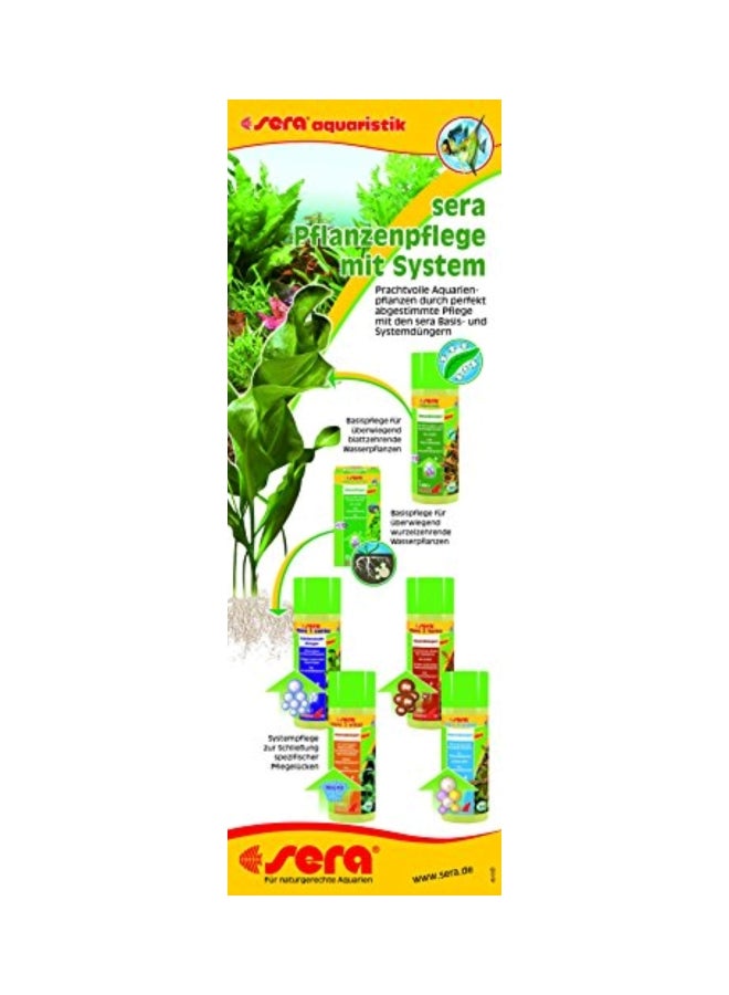 Sera Florenette - Image 2