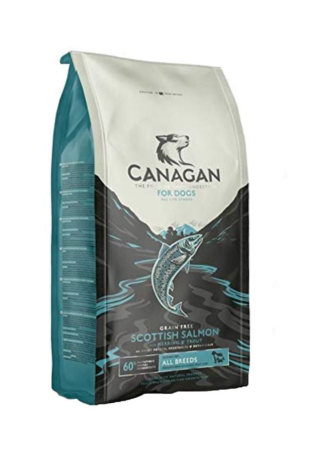 Canagan - Scottish Salmon Dog Food 12kg - Image 1
