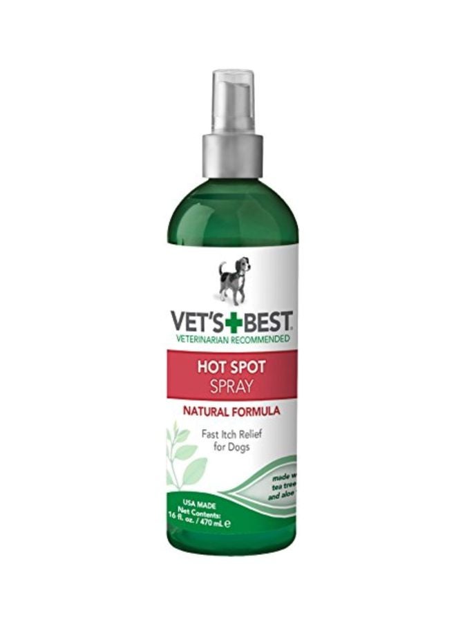 Hot Spot Spray 470ml - v1560425189/N26723358A_1