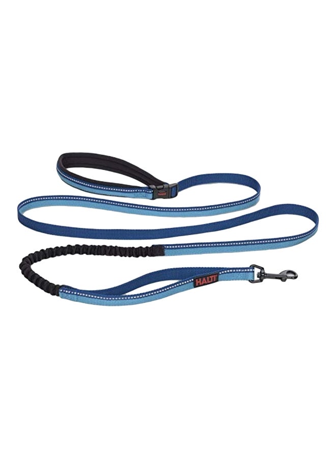 Company of Animals Halti All-In-One Lead Dog Harness Blue/Black L