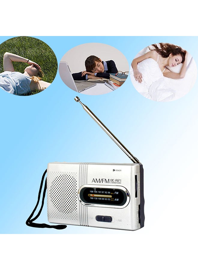 Generic AM/FM Dual Band Telescopic Antenna Radio V495 Silver/Black  - Image 2