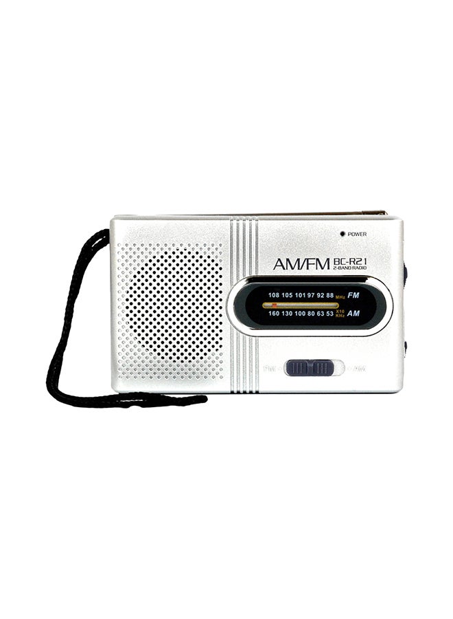 Generic AM/FM Dual Band Telescopic Antenna Radio V495 Silver/Black  - Image 1