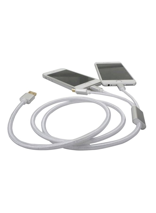 كابل مايكرو USB للشحن ومزامنة البيانات 3 في 1 رمادي/ذهبي - Image 2
