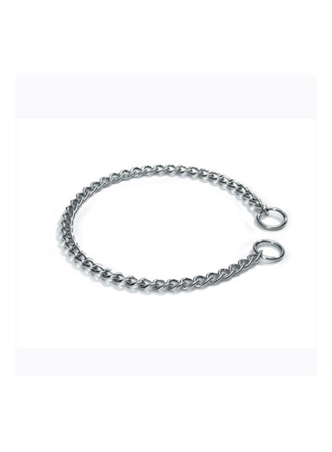 Dog Choke Chain Silver - v1560598158/N24145616A_1