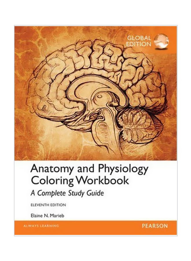 Anatomy And Physiology Coloring Workbook: A Complete Study Guide Paperback English by Elaine N. Marieb - 26-Sep-14