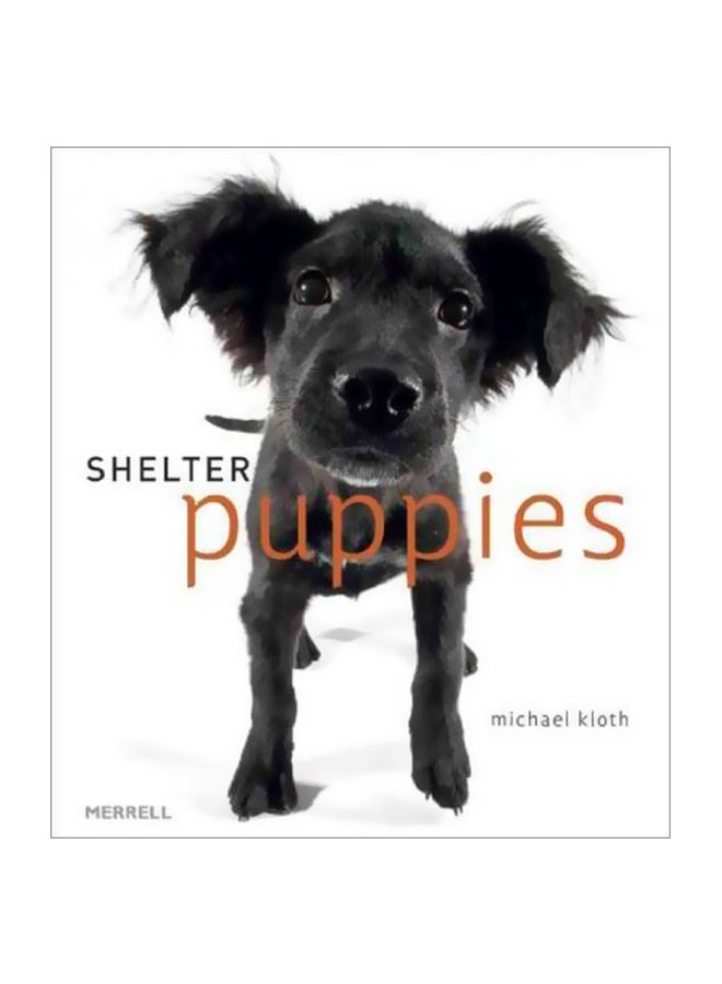 Shelter Puppies Hardcover English by Michael Kloth - 04-Oct-11 
