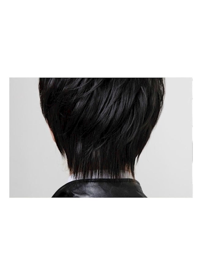 Short Handsome Wigs Cosplay Korean Male Wig Black - Image 3