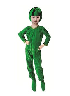 Watermelon Plants Design Costume L