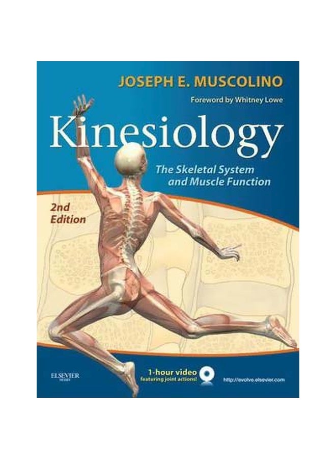 Kinesiology Paperback English by Joseph E. Muscolino - 24-Sep-10 