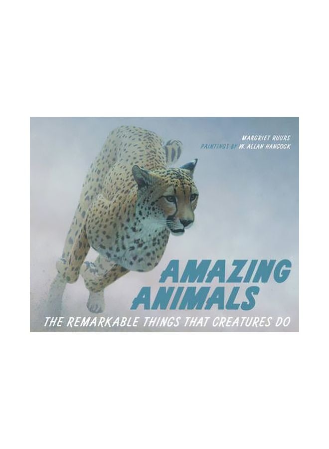 Amazing Animals hardcover english - 24-Nov-11 