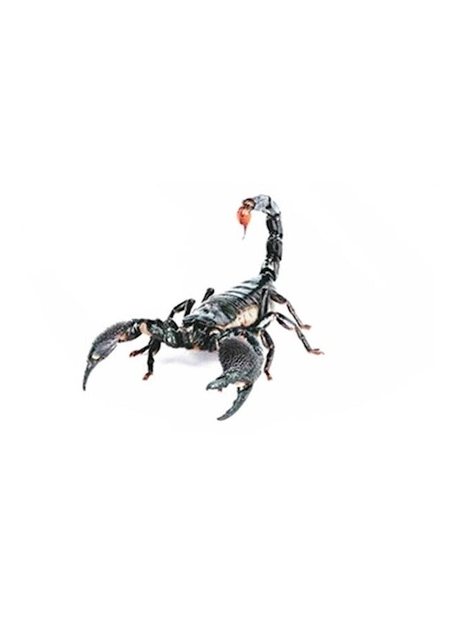 3D Scorpion Stickers Black - Image 1
