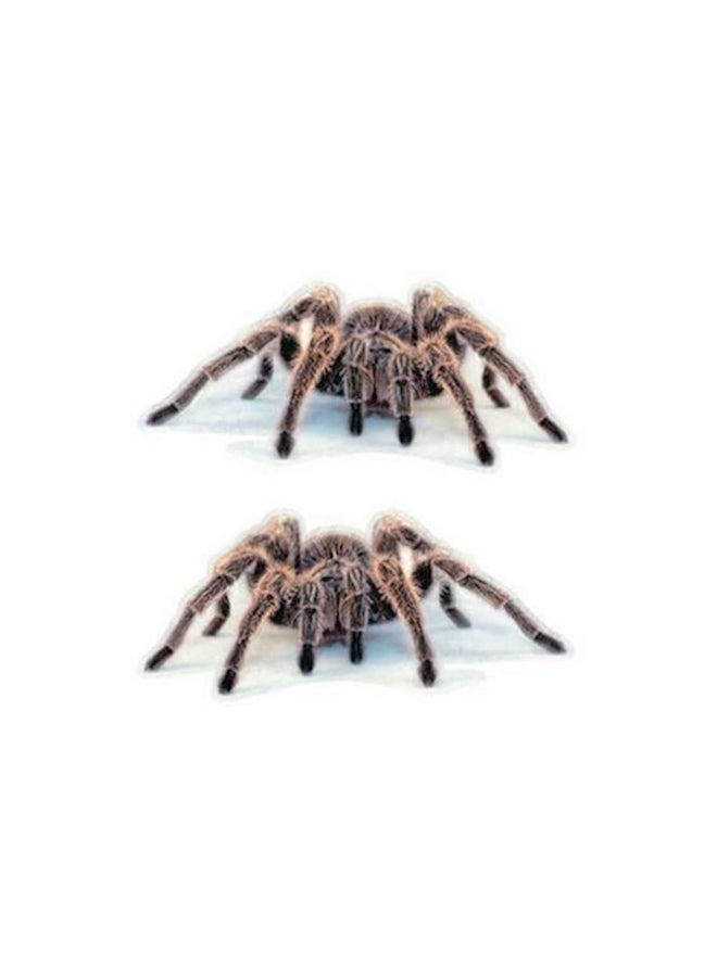 Hot Sell Fashion 2Pcs 3D Spider Car Bumper Stickers Vinyl Decal Sticker Scratch Cover Multi Color - Image 3
