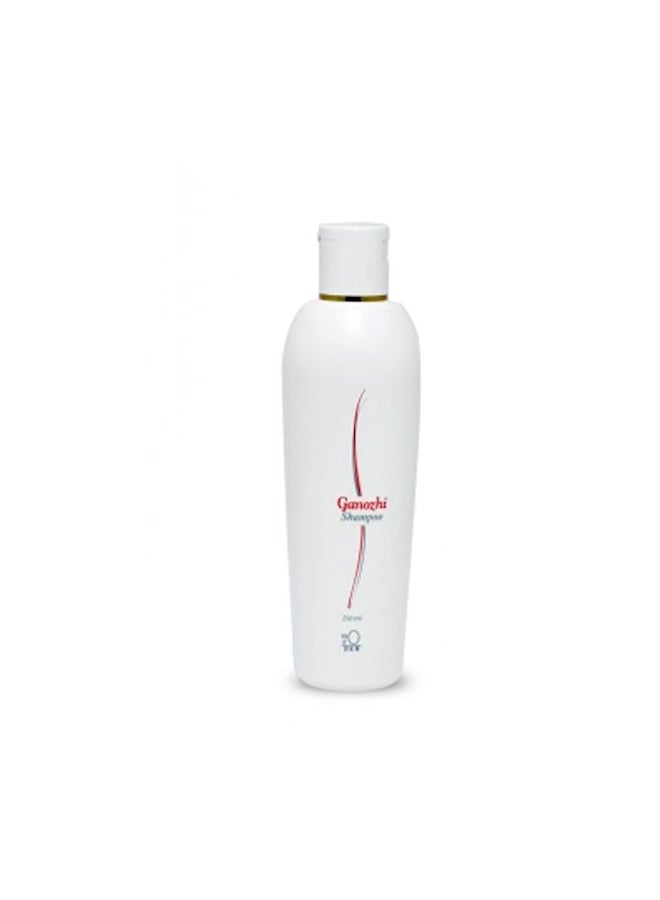 DXN - Ganozhi Shampoo With Ganoderma Extract And Vitamin B5 250ml - Image 1