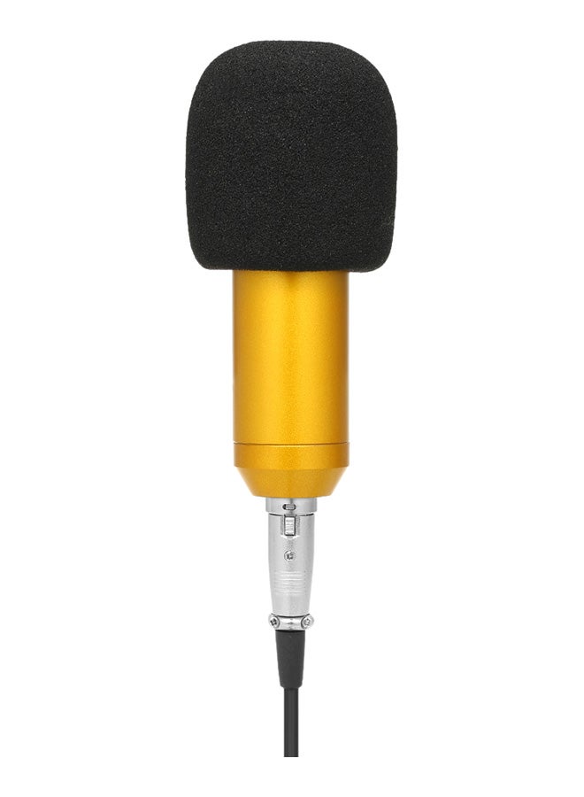BM800 Wired Condenser Microphone With Sponge Protector V583 Gold/Black/Silver - Image 1