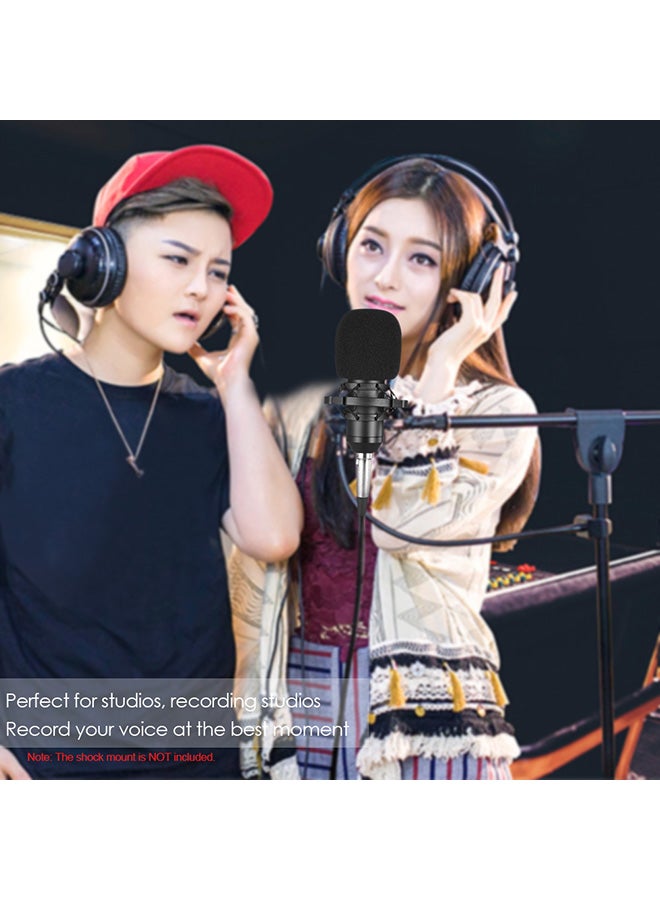 BM800 Wired Condenser Microphone With Sponge Protector V583 Gold/Black/Silver - Image 3