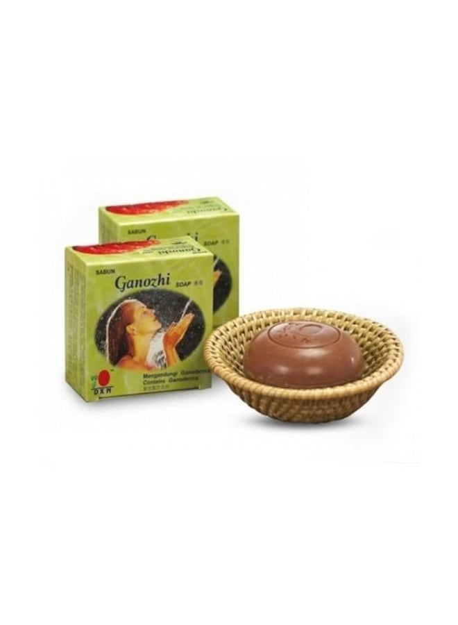 Generic Ganozhi Soap Brown 