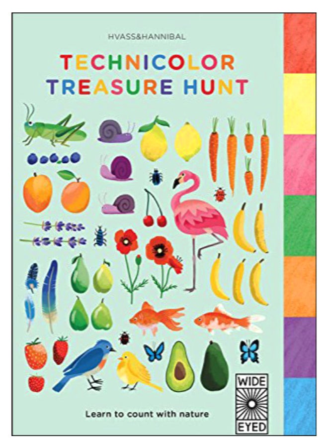 Technicolor Treasure Hunt board_book english