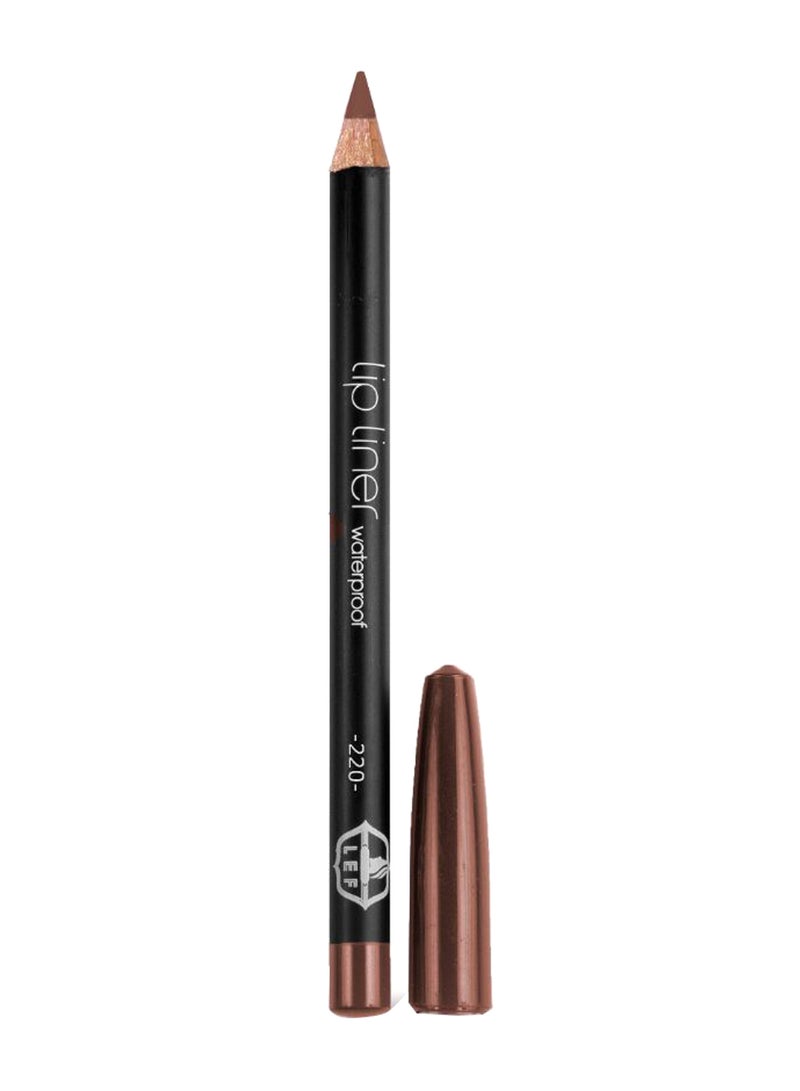 Waterproof Lip Liner Pencil Brown 220 - v1560964731/N26878478A_1