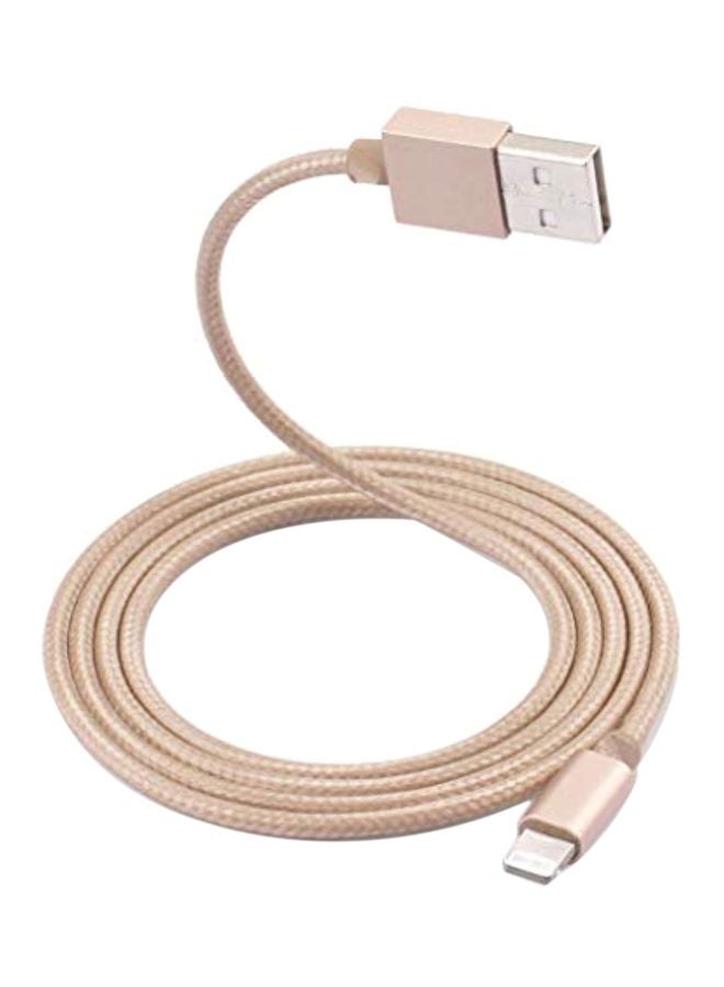 USB To Lighting Data Sync Charging Cable Gold/Silver - Image 1