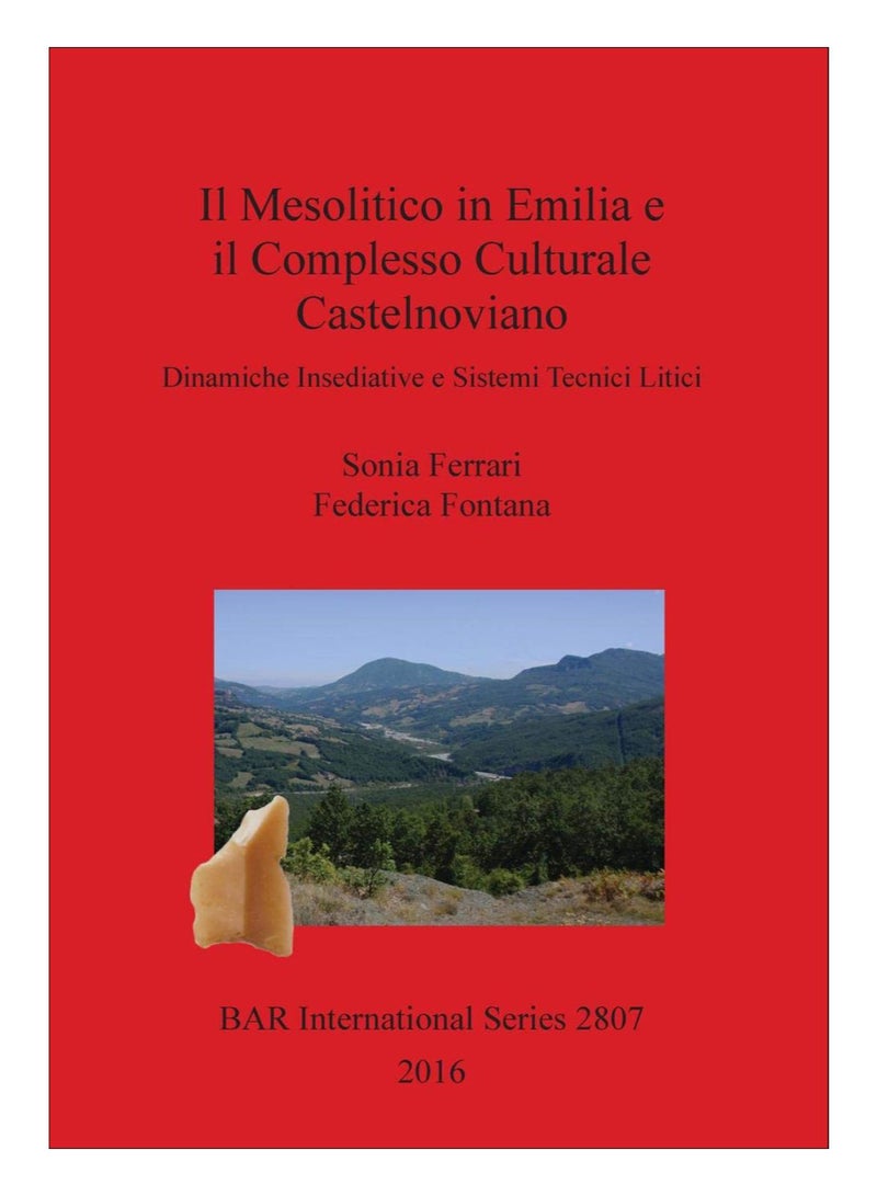 Il Mesolitico In Emilia E Il Complesso Culturale Castelnoviano paperback italian - 26-Sep-12