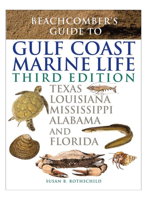 Beachcomber's Guide To Gulf Coast Marine Life paperback english - 14-Oct-13