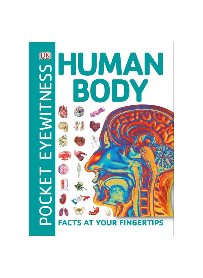 Human Body Paperback English by DK - 10/4/2018
