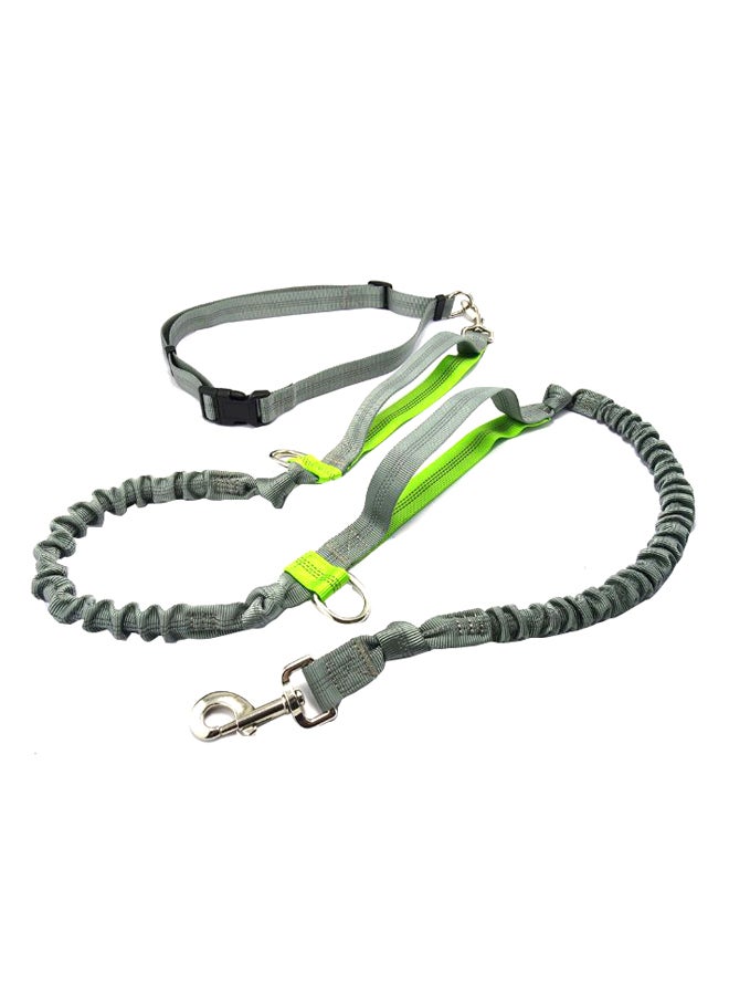 مقود للمشي للحيوانات الأليفة قابل للسحب مع حزام للخصر أخضر/رمادي