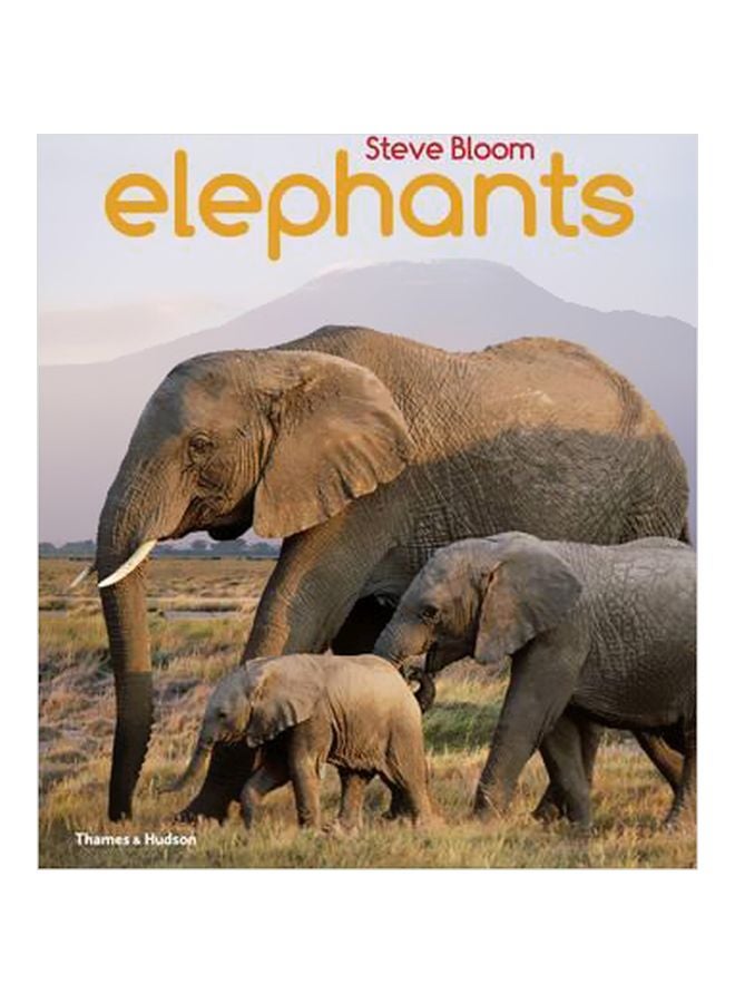 Elephants Paperback English by Steve Bloom - 9/8/2015