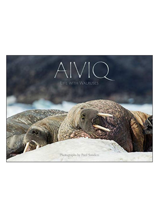 Aiviq hardcover english - 23.05.2019