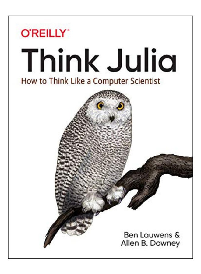 Think Julia Paperback English by Ben Lauwens - 31 May 2019 
