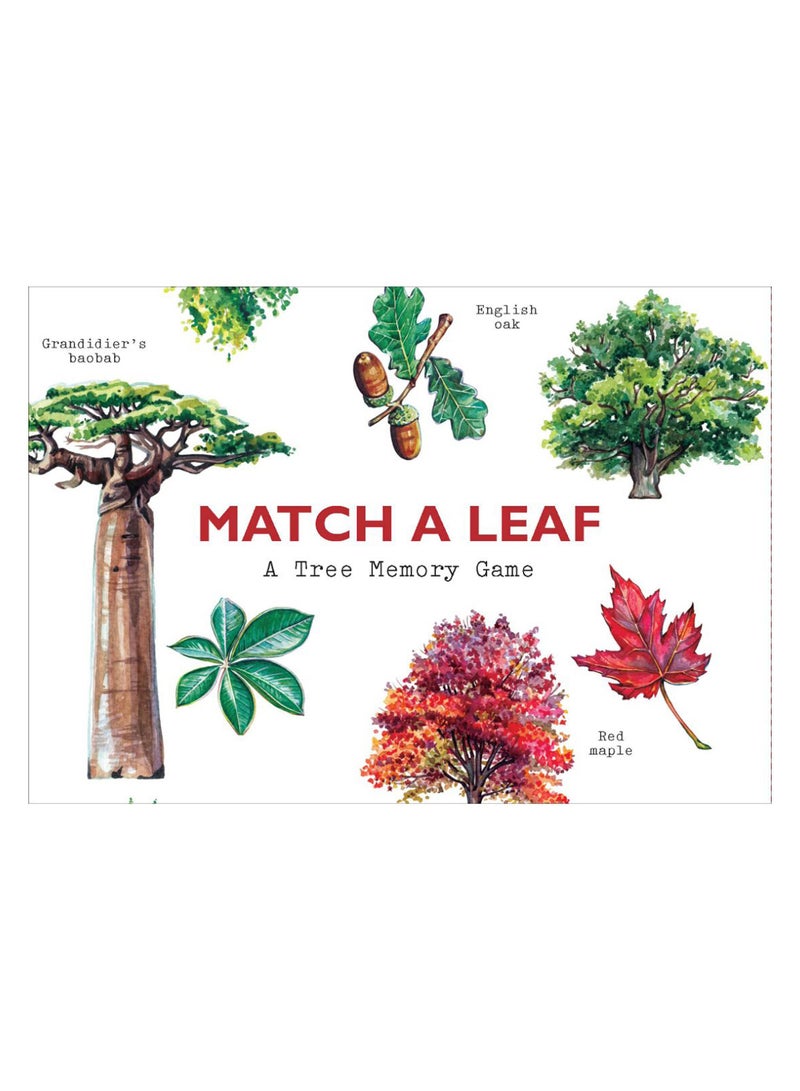 Match A Leaf paperback english - 14-Aug-2018 