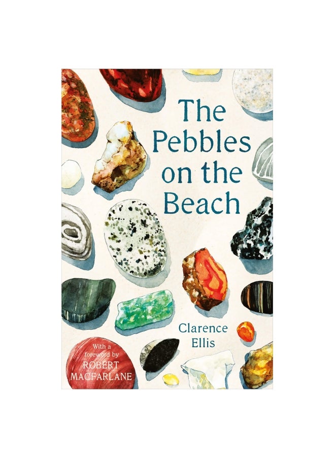 The Pebbles On The Beach: A Spotter'S Guide Paperback English by Clarence Ellis - 43529 