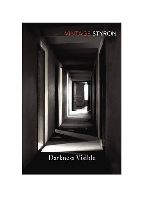 Darkness Visible (داركنيز فيسيبل) paperback english - 05 April 2001