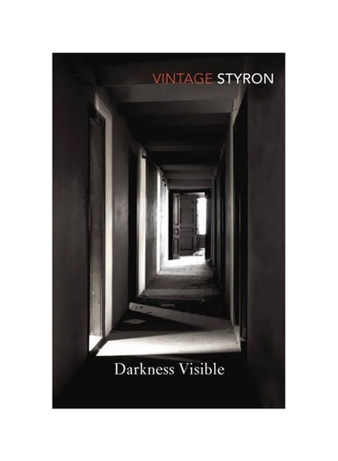 Darkness Visible (داركنيز فيسيبل) paperback english - 05 April 2001