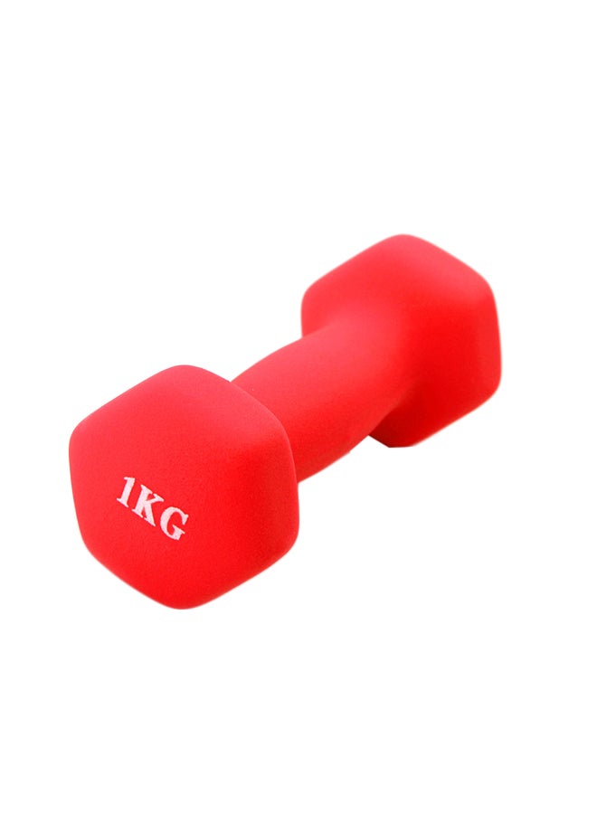 Generic 2-Piece Hexagon Dumbbell Set 1kg 