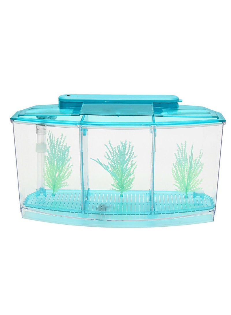 حوض التبويض للسمك المقاتل والجمبري أزرق/شفاف