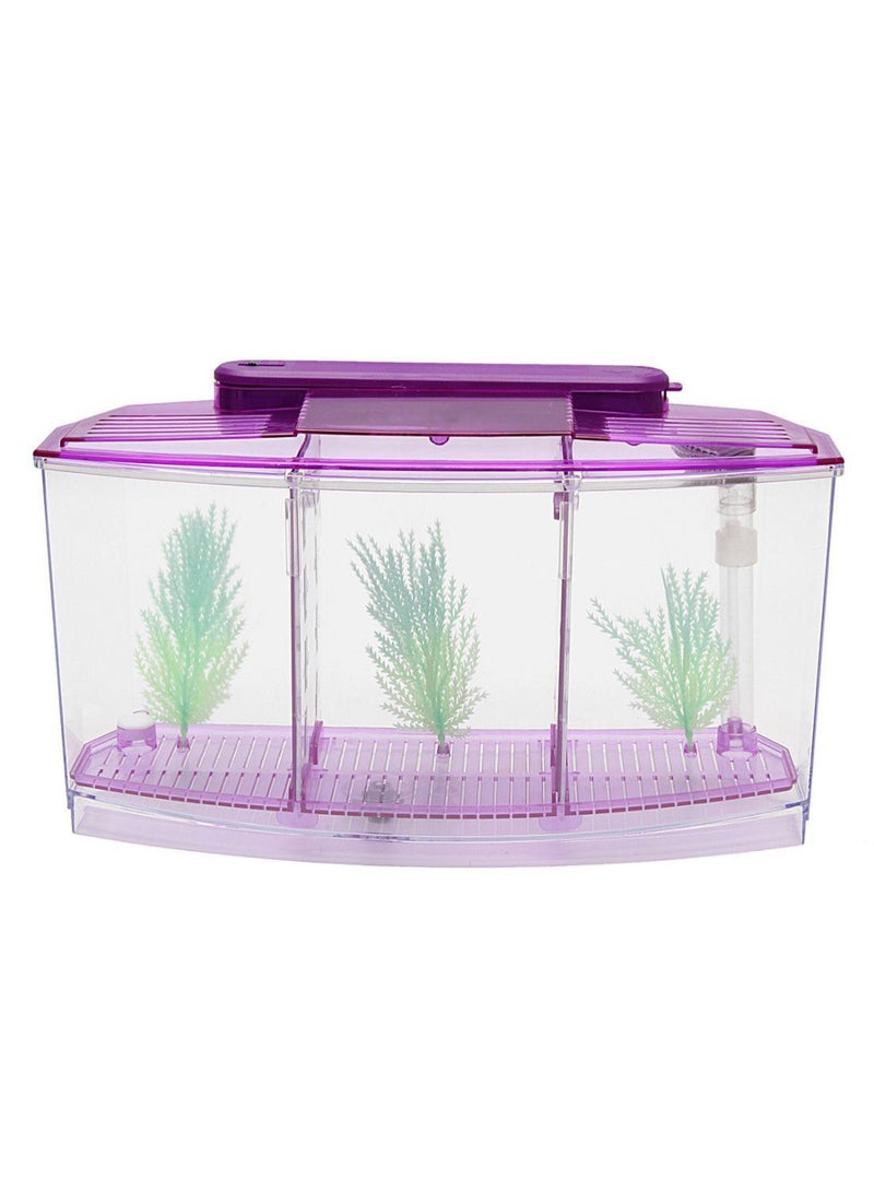 Betta Fish Tank Spawning Box Shrimp Aquarium Purple/Clear