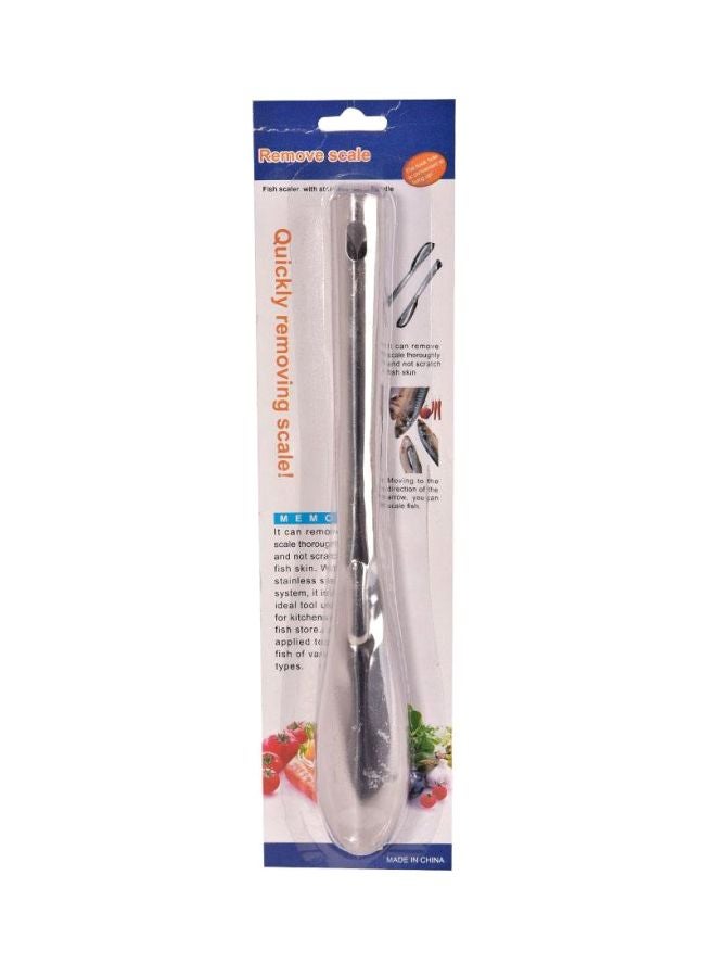 Fish Scale Cleaner Silver 