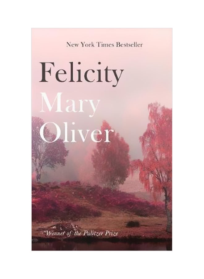 Felicity paperback english - 4/5/2018 