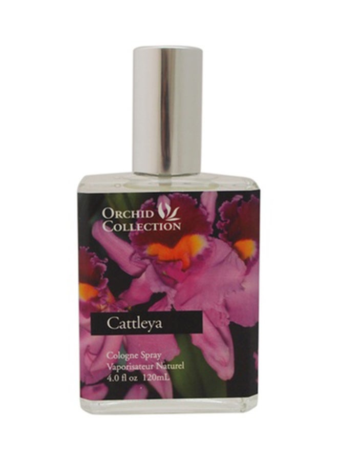 Demeter Cattleya Orchid Cologne