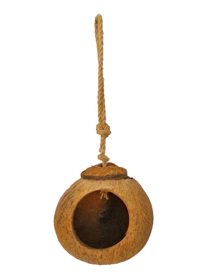 HENGZI Natural Coconut Bird Shell Brown 11centimeter 
