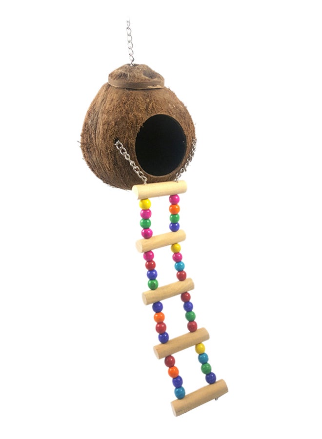 Coconut Bird Shell With Stairs Brown 12cm