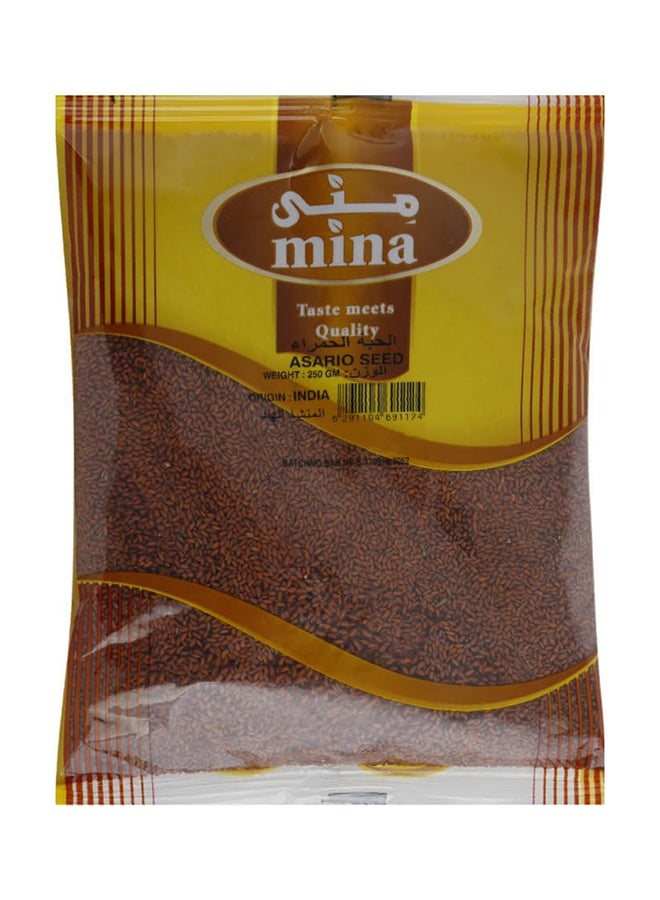 Mina Asario Seed 250grams  - Image 1